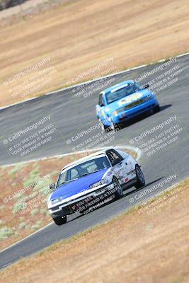 media/May-06-2023-Lucky Dog Racing (Sat) [[8f2256f436]]/Turn 2 10a/